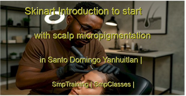 Skinart Introduction to start with scalp micropigmentation in Santo Domingo Yanhuitlan | SmpTraining | SmpClasses | SkinartTraining-Mexico